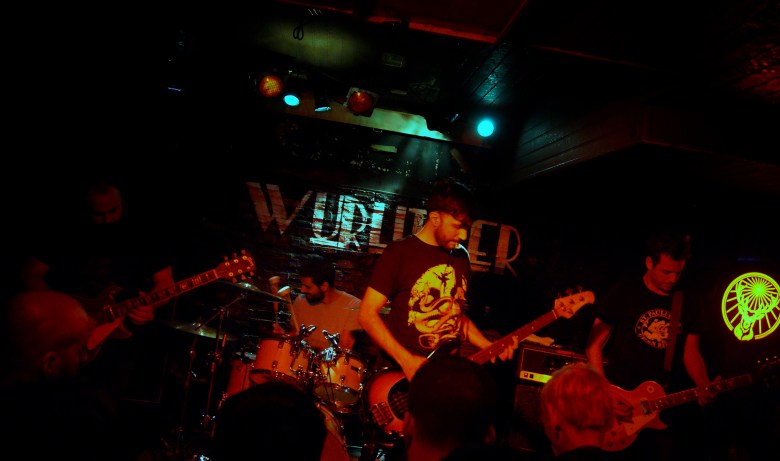 posible toundra 2.JPG